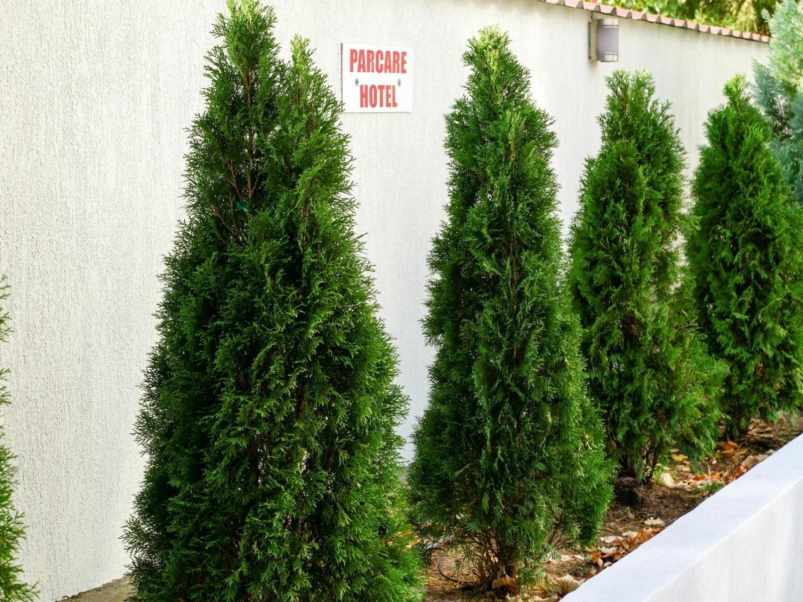Hotel Criss บูคาเรสต์ ภายนอก รูปภาพ